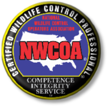 Bat Standards - NWCOA